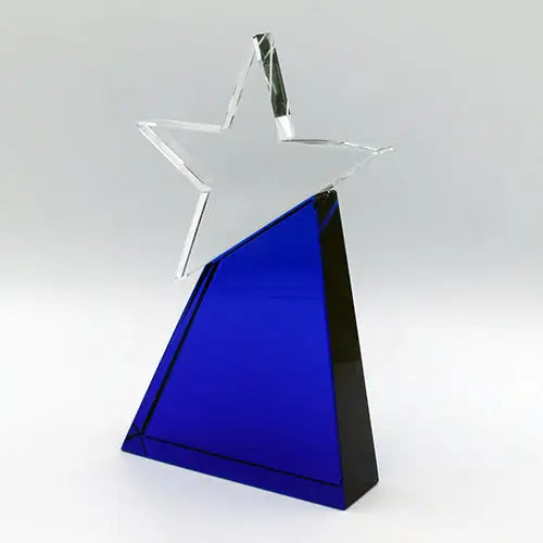 BLUE STAR AWARD | Vorson Giveaways